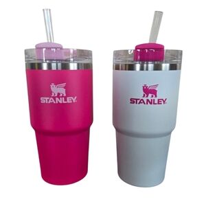 Stanley Flowstate 20oz Quencher Tumbler Set Pink Vibes